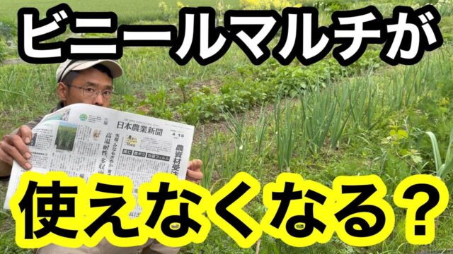 【石油危機】メーカーが農業用資材の受注停止。ビニールマルチが品薄に