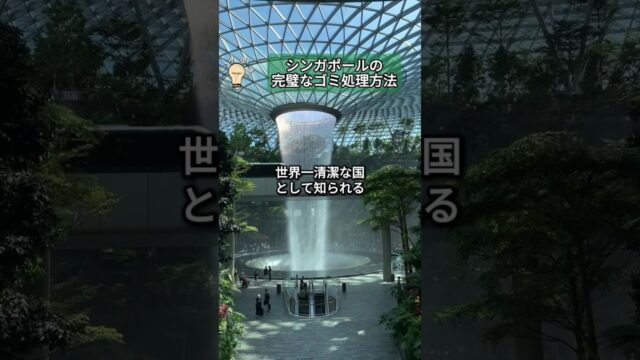 シンガポールの完璧なゴミ処理方法