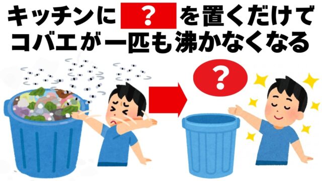 家に出るコバエはこれを置くだけで駆除できます。