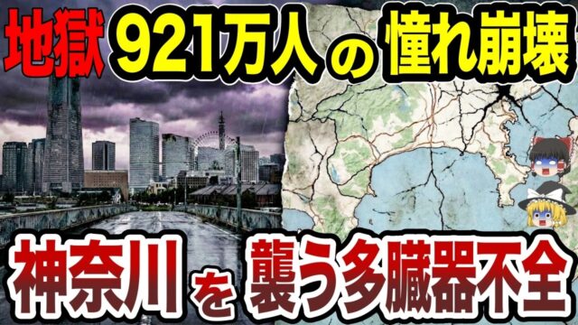 921万人の憧れが崩壊。神奈川を襲う「多臓器不全」の真実…保活離婚とハクビシンが占拠する街